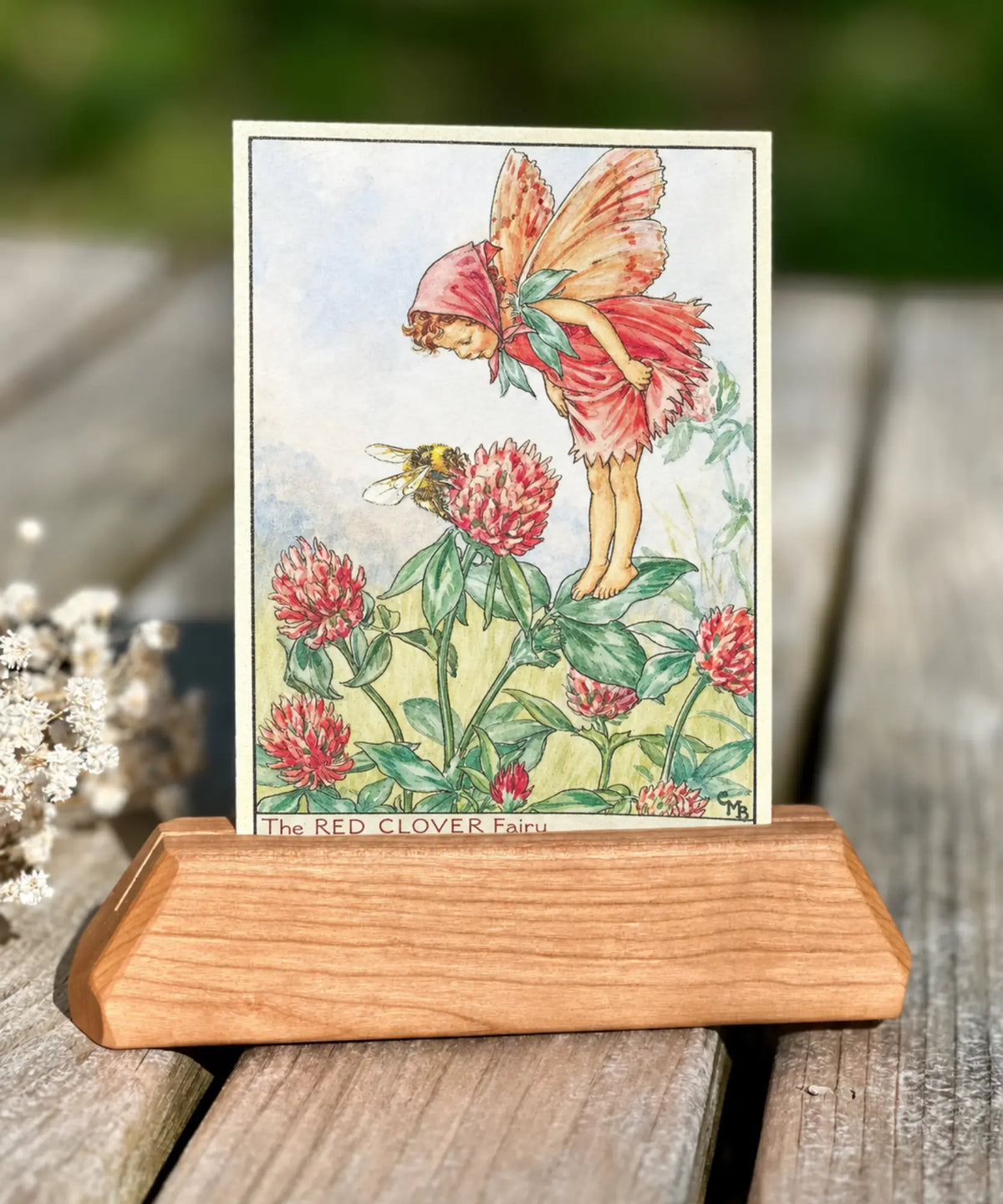 Cicely Mary Barker Red Clover Flower Fairy Postcard