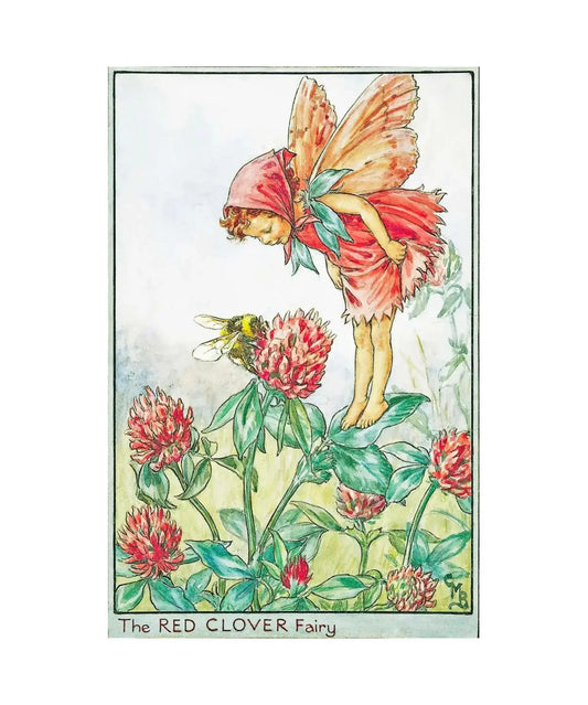 Red clover flower fairy postcard by Cicely Mary Barker on a white background