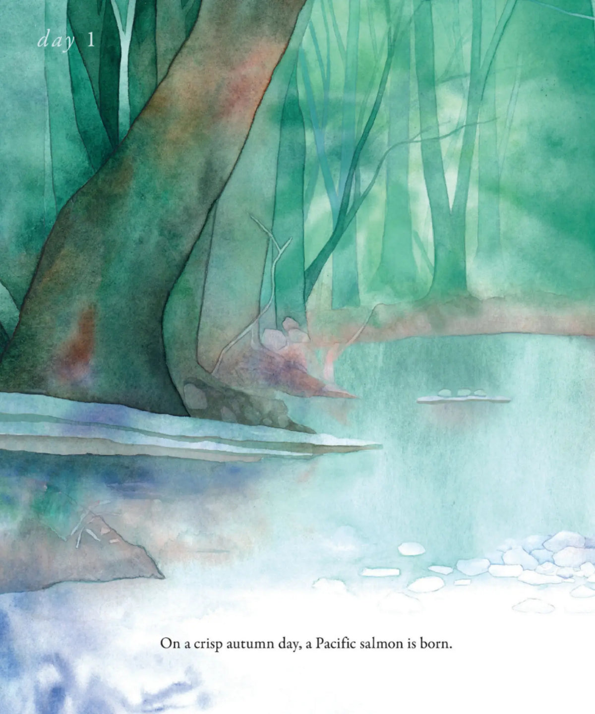 Salmon Run page for Day 1, a misty forest river where a Pacific salmon is born on a crisp autumn day