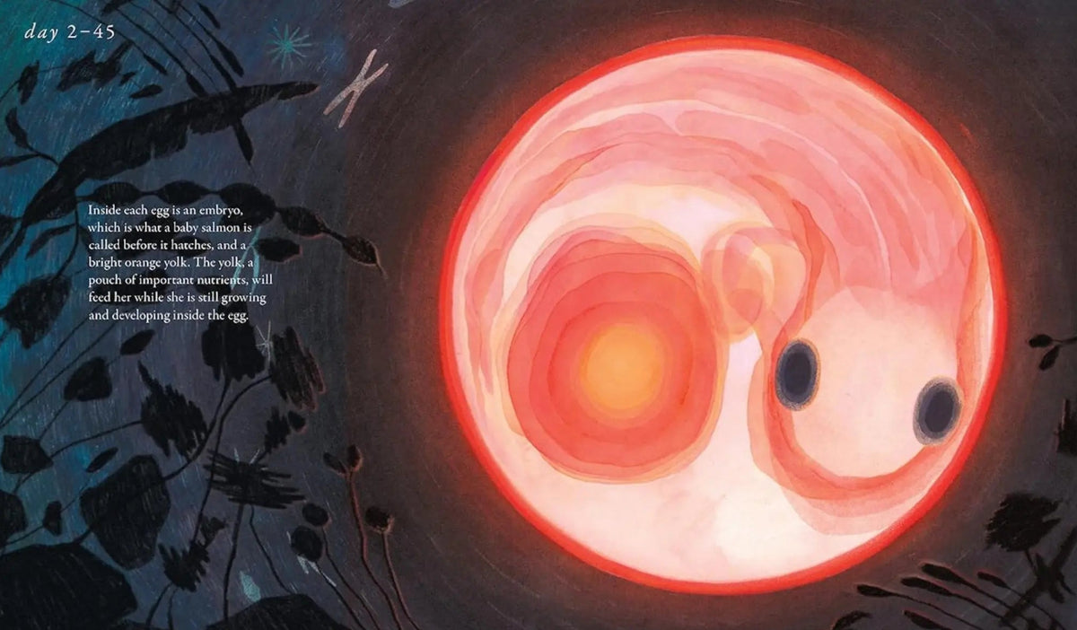 Salmon Run spread with a glowing close-up illustration of a developing salmon embryo inside its orange egg