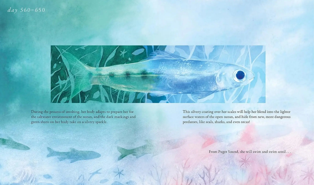 Salmon Run spread of a young salmon swimming in blue-green river water, framed by watercolor fish
