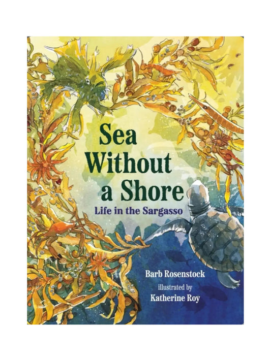 Book cover of 'Sea Without a Shore' with a turtle and seaweed illustration.
