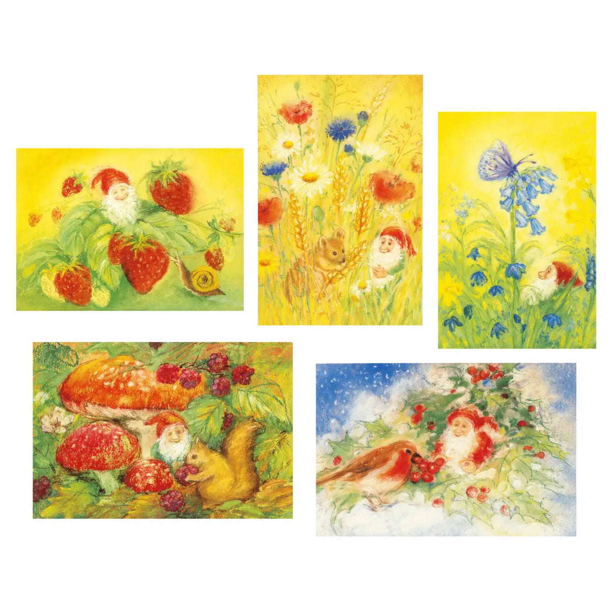 Five Marjan van Zeyl seasonal gnome postcards featuring spring butterflies, summer strawberries, golden wheat, autumn mushrooms, and a winter robin on a white background.