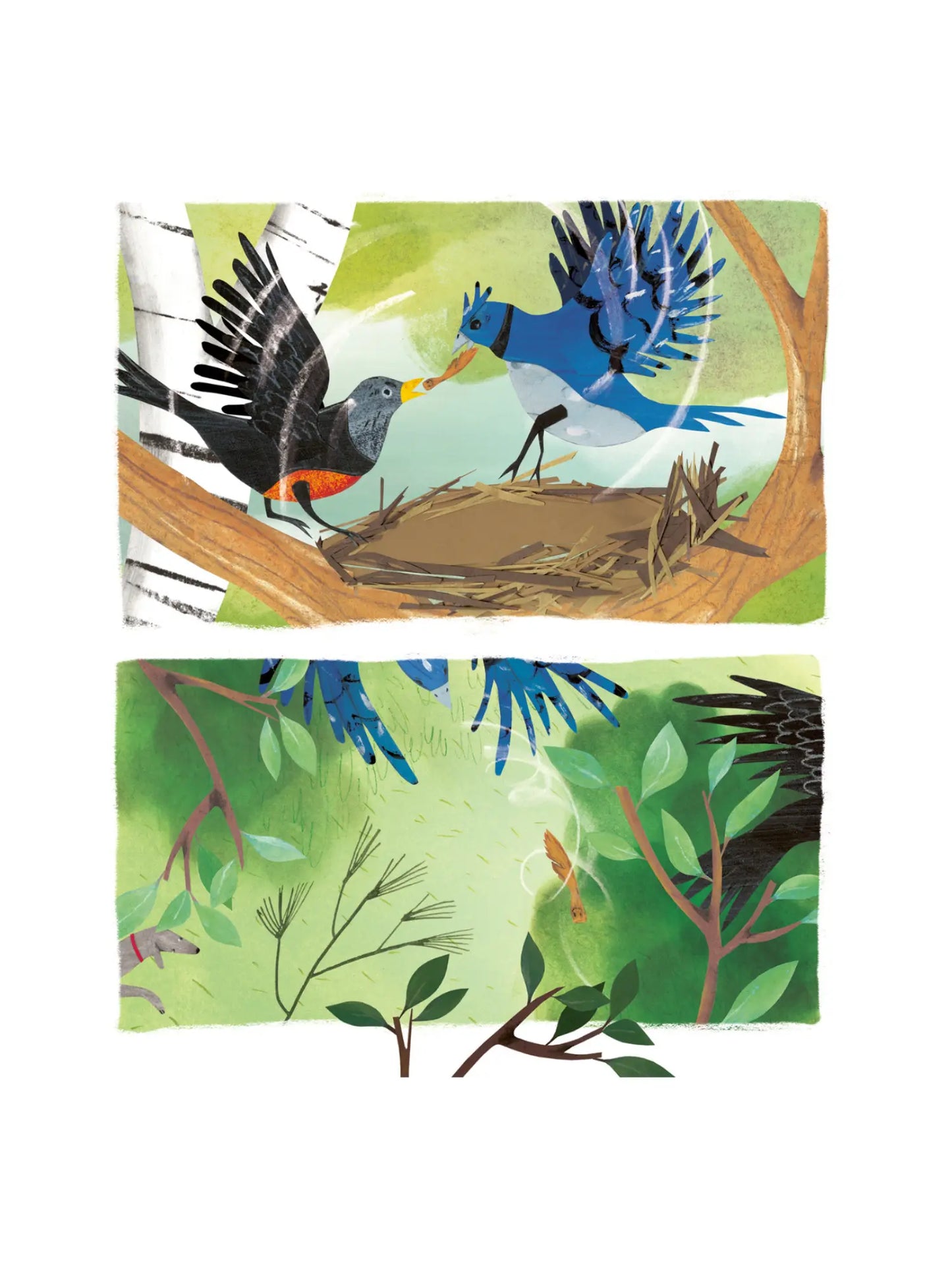 Illustration of two birds catching a samara seed pod and taking it to their nest