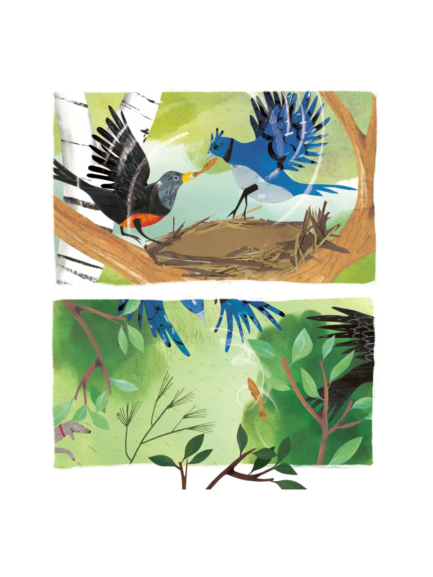 Illustration of two birds catching a samara seed pod and taking it to their nest