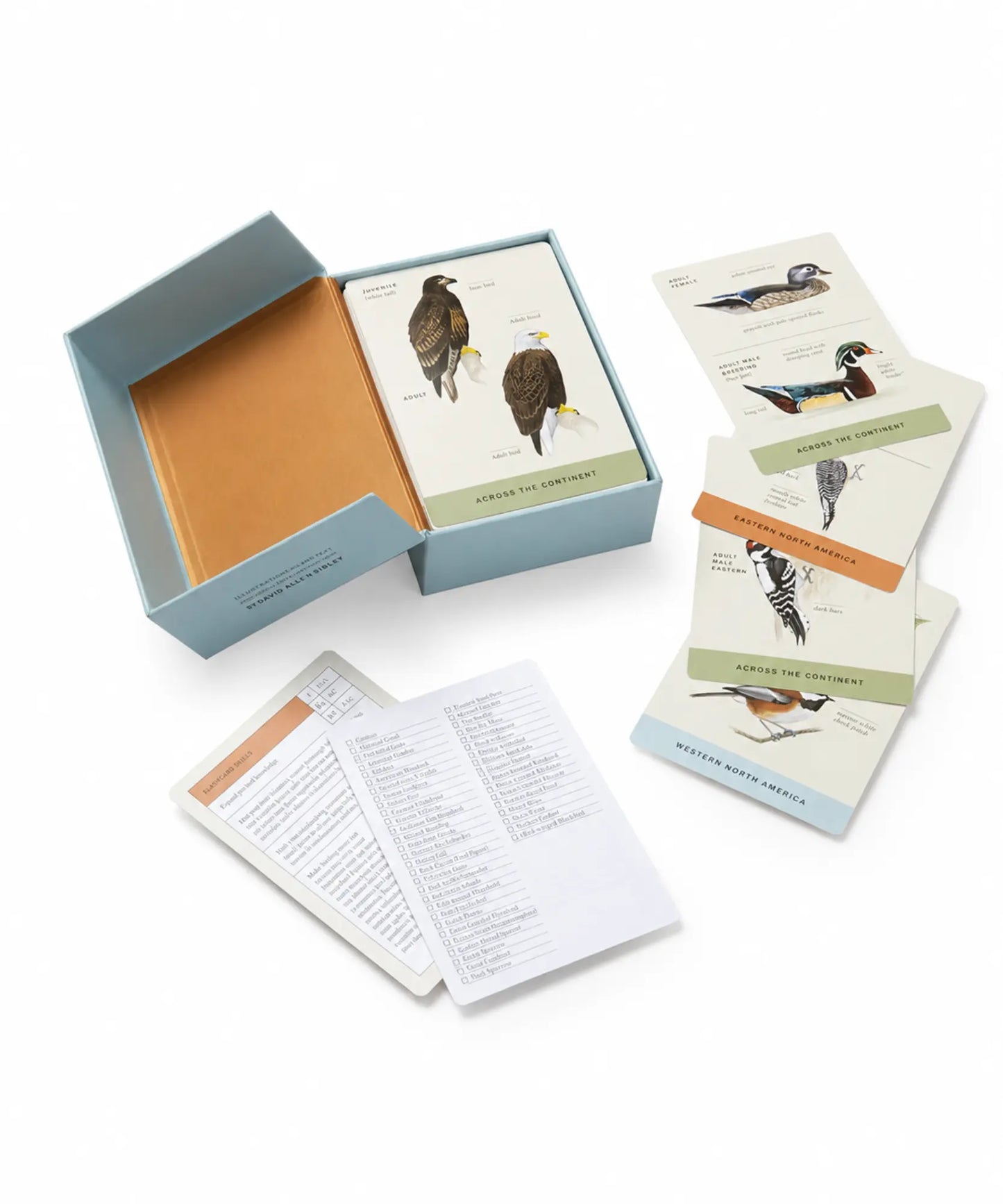 Set of bird identification cards with a box on a white background