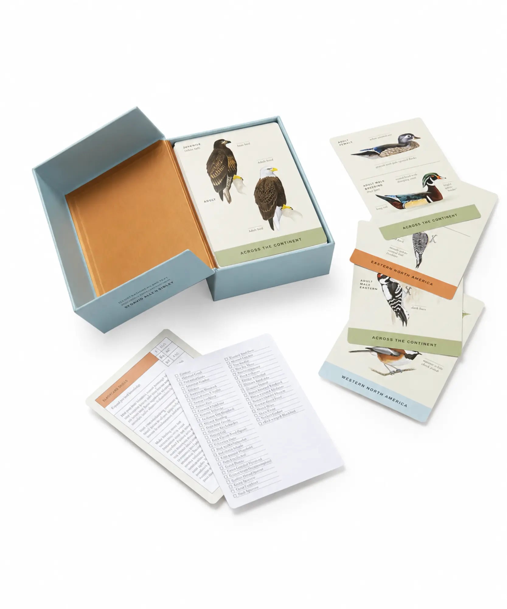 Set of bird identification cards with a box on a white background