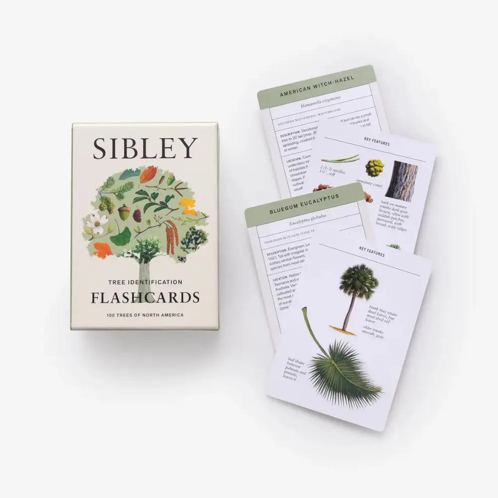 Sibley Tree Identification Flashcards on a white background