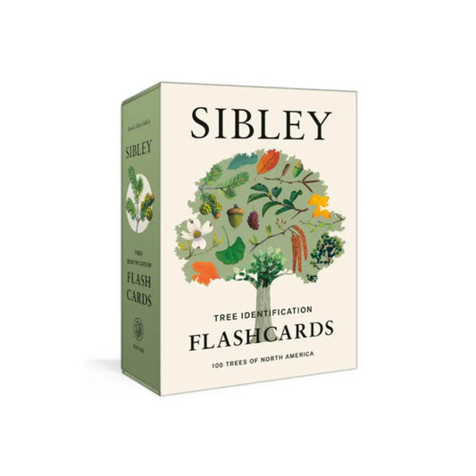Box of Sibley Tree Identification Flashcards with tree illustration on a white background