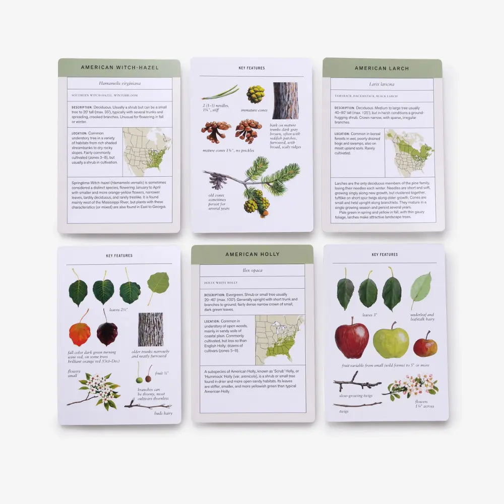 Set of educational cards about American plants on a white background