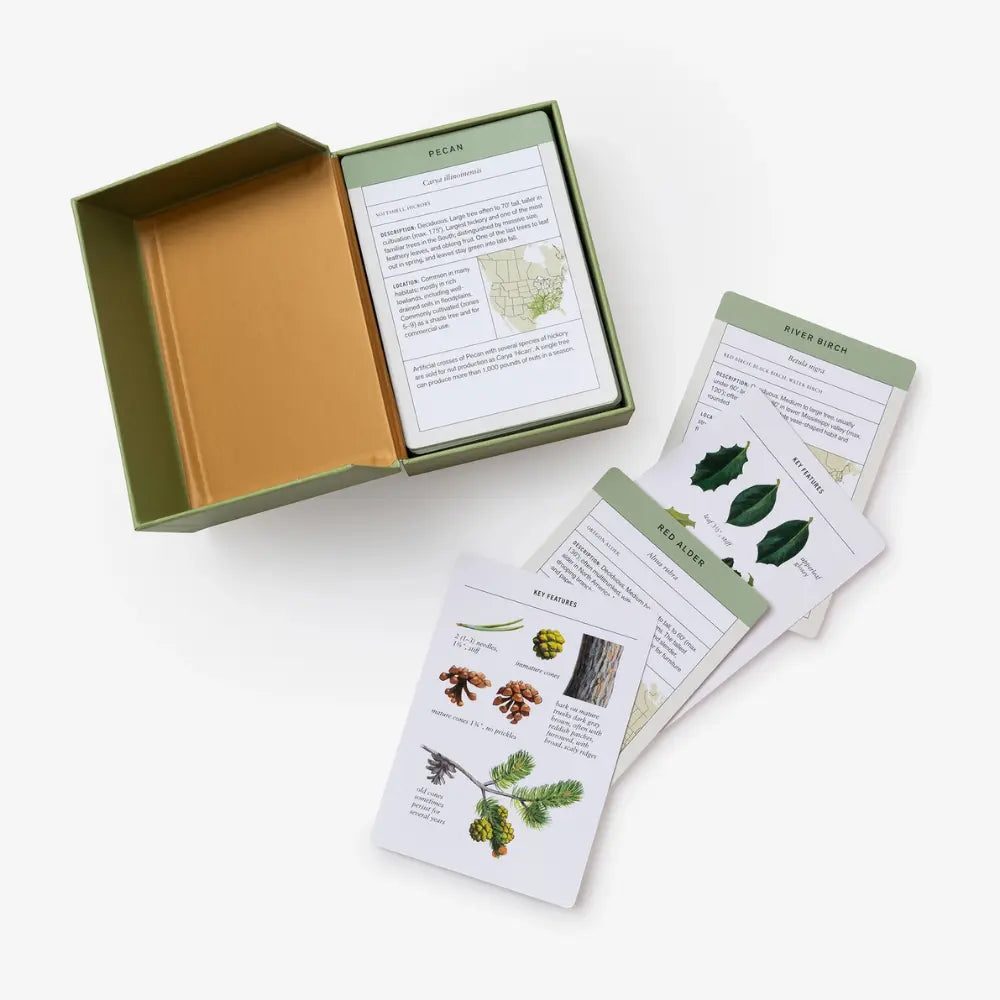 Educational nature cards with illustrations and text on a white background