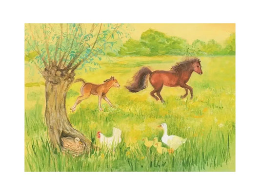 Skittish Foal in the Meadow postcard by Marjan van Zeyl featuring a young foal, horse, ducks, hen, and spring meadow