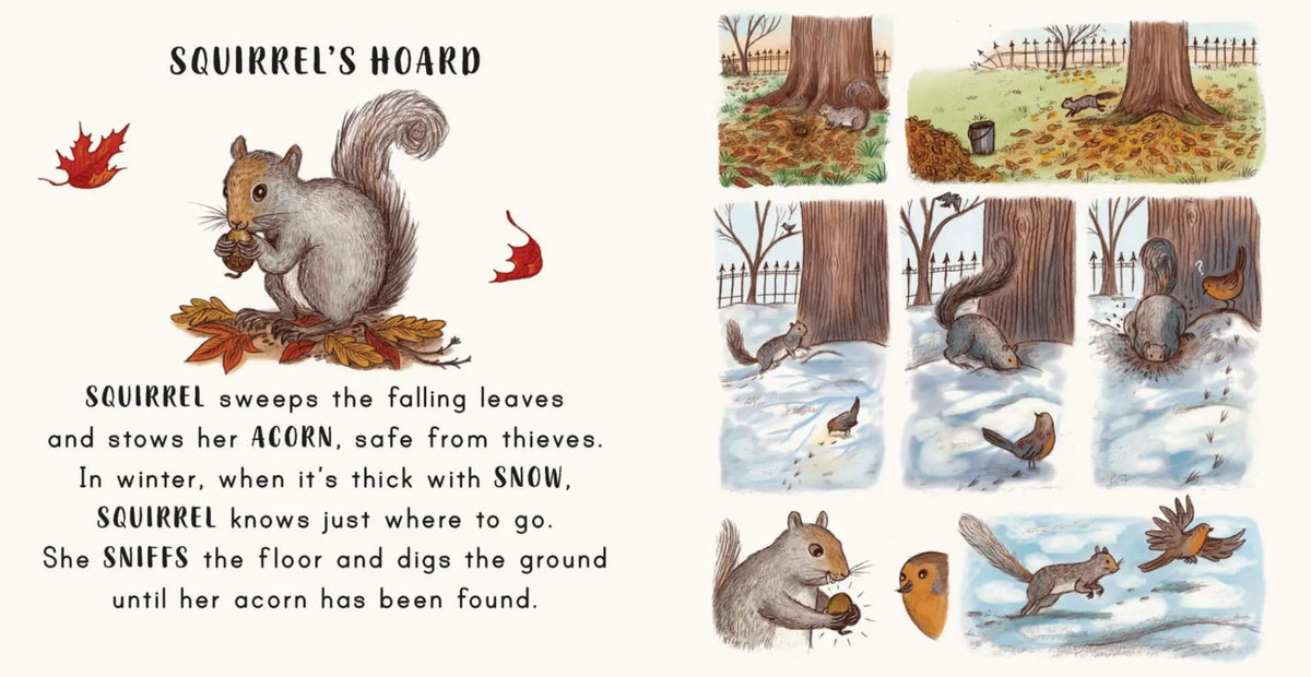 Illustrated pages from Slow Down in the Park depicting a squirrel gathering and burying acorns in autumn, then searching beneath the snow for its winter food stores.