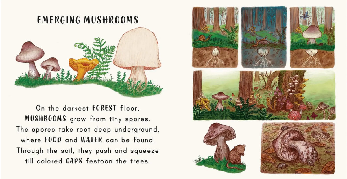 Illustrated pages from Slow Down in the Park showing mushrooms emerging from the forest floor, with colorful fungi, ferns, woodland animals, and underground mycelium.