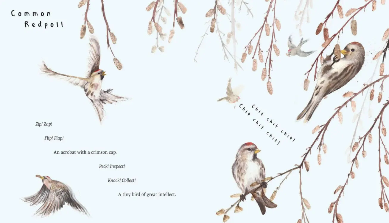 Illustrated Snow Birds spread featuring blue jays in a birch woodland beside a winter bird feeder