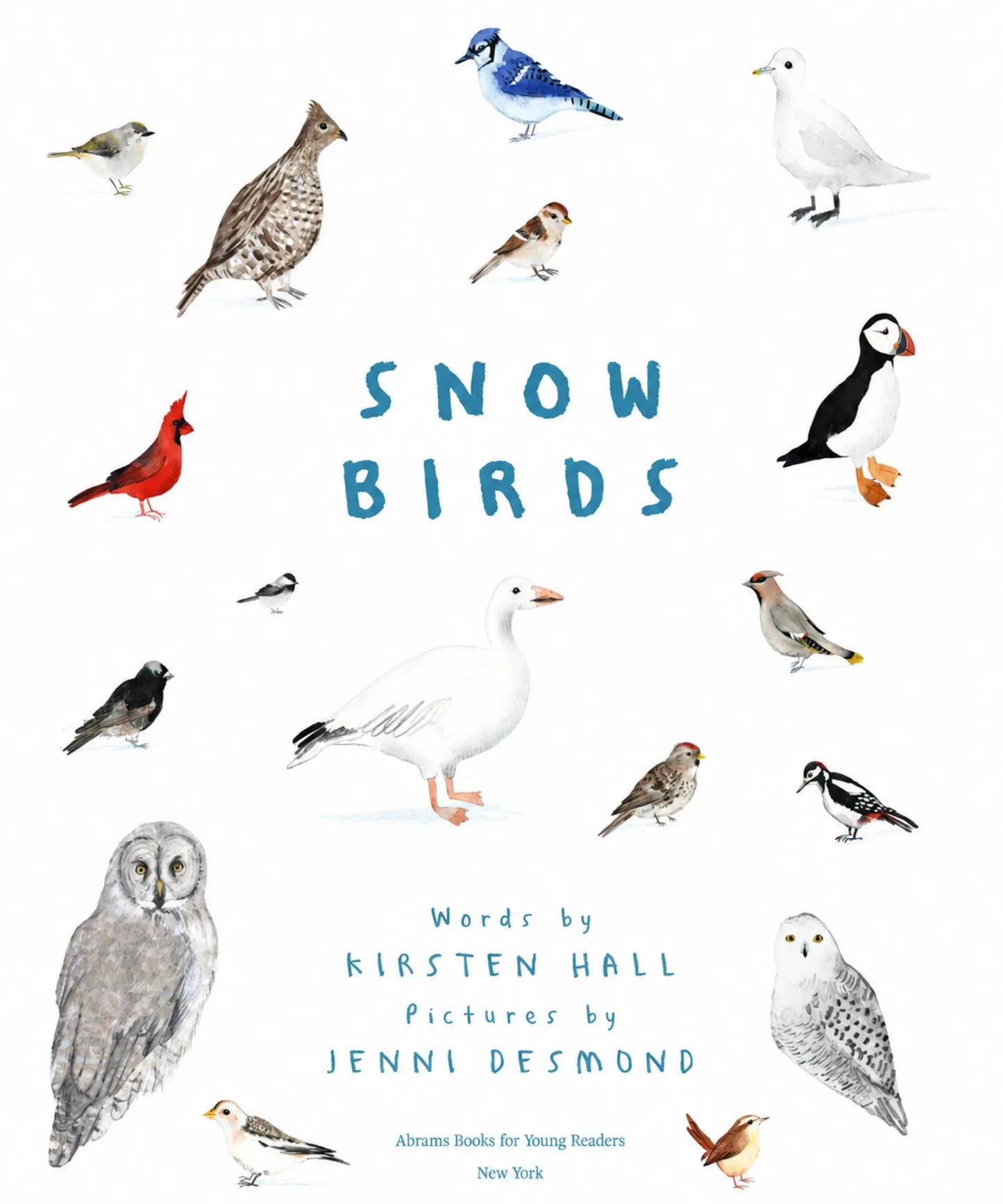 Illustrated title page from Snow Birds by Kirsten Hall and Jenni Desmond featuring cardinals, owls, puffin, goose, blue jay, and other winter birds