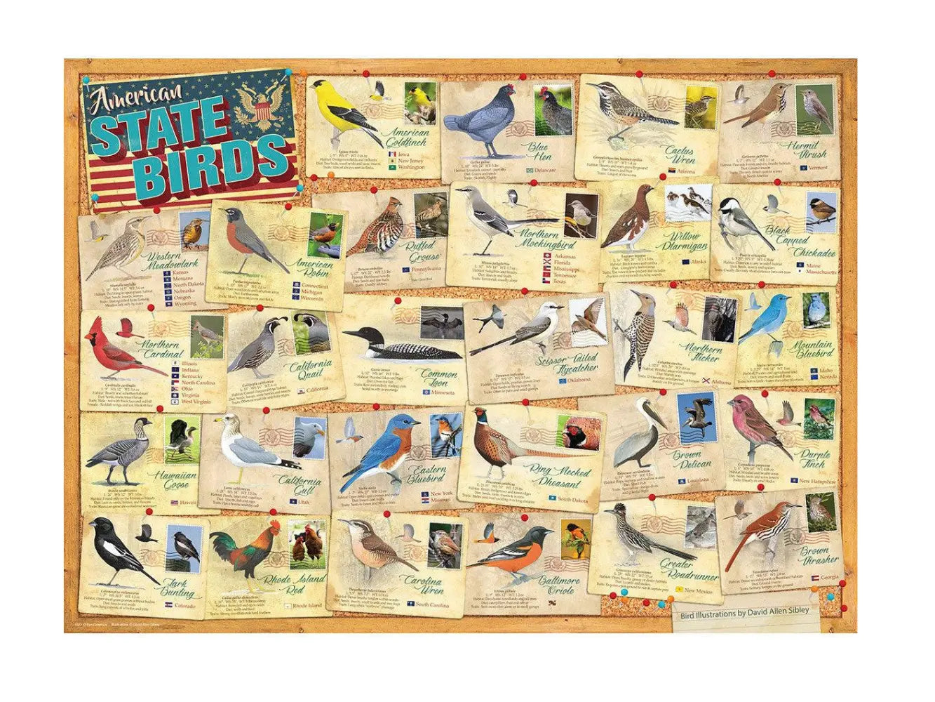 Collection of cards featuring various birds with labels on a wooden board.