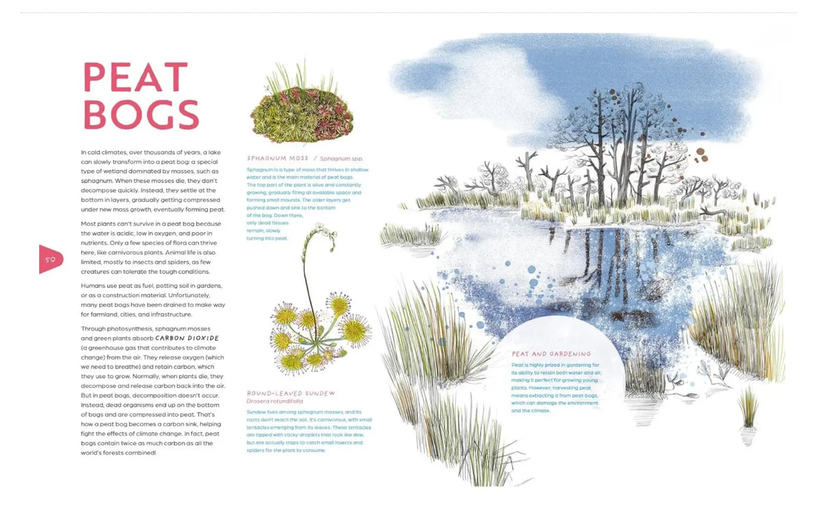 A landscape print titled 'PEAT BOGS' featuring watercolor-style illustrations of marshlands, reeds, trees, and ponds