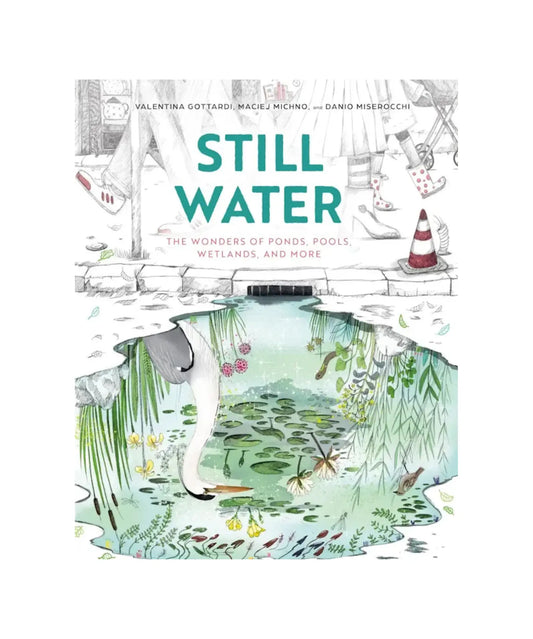 The front cover of the book 'Still Water' by Valentina Gottardi, Macej Michno, and Dario Misbergotti. 