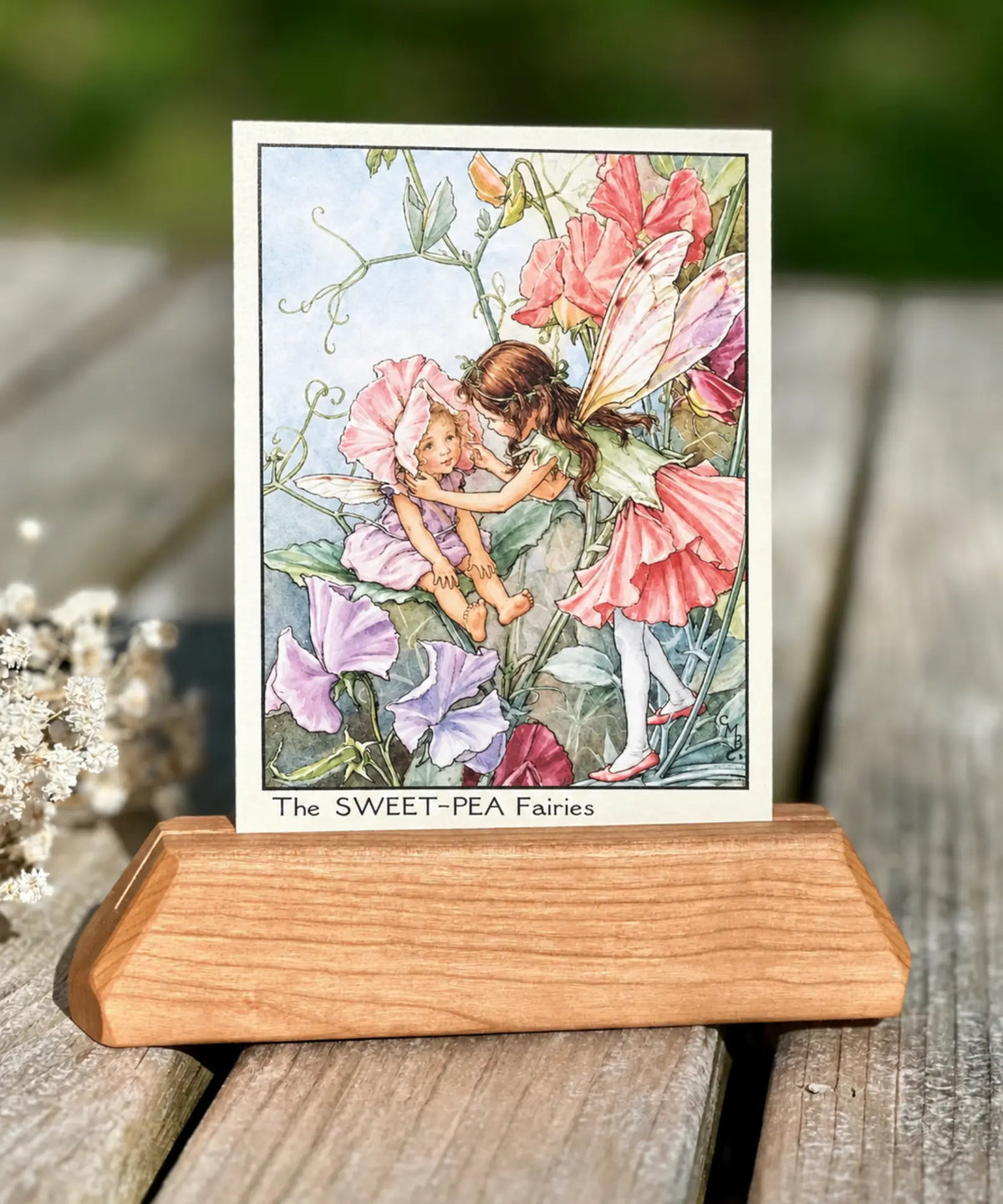 Sweet Pea Flower Fairies postcard by Mary Cicely Barker in a wooden stand