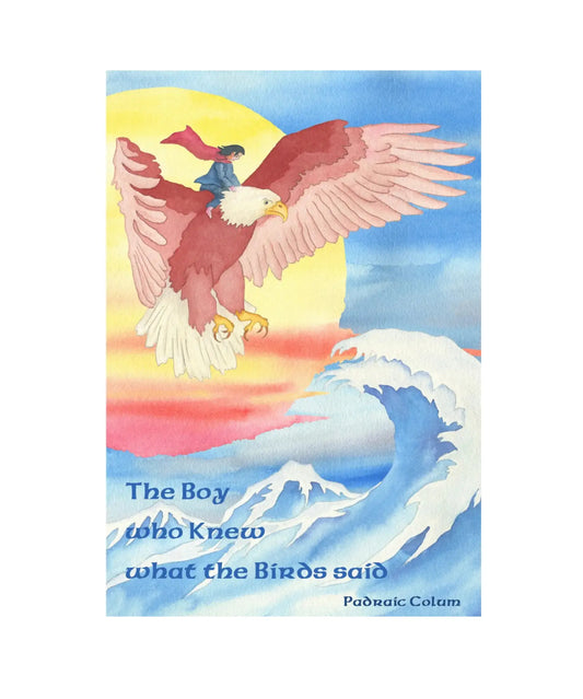 The Boy Who Knew What The Birds Said by Padraic Colum