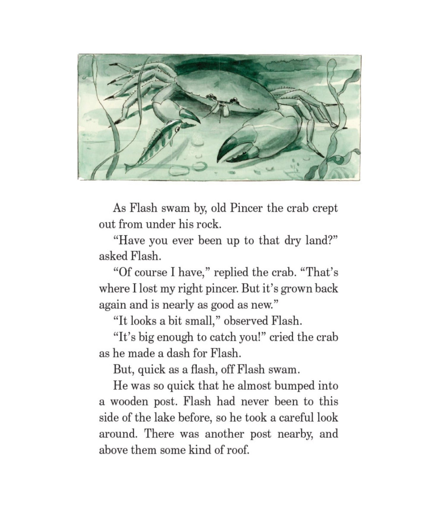 Illustration of a crab with text on a white background