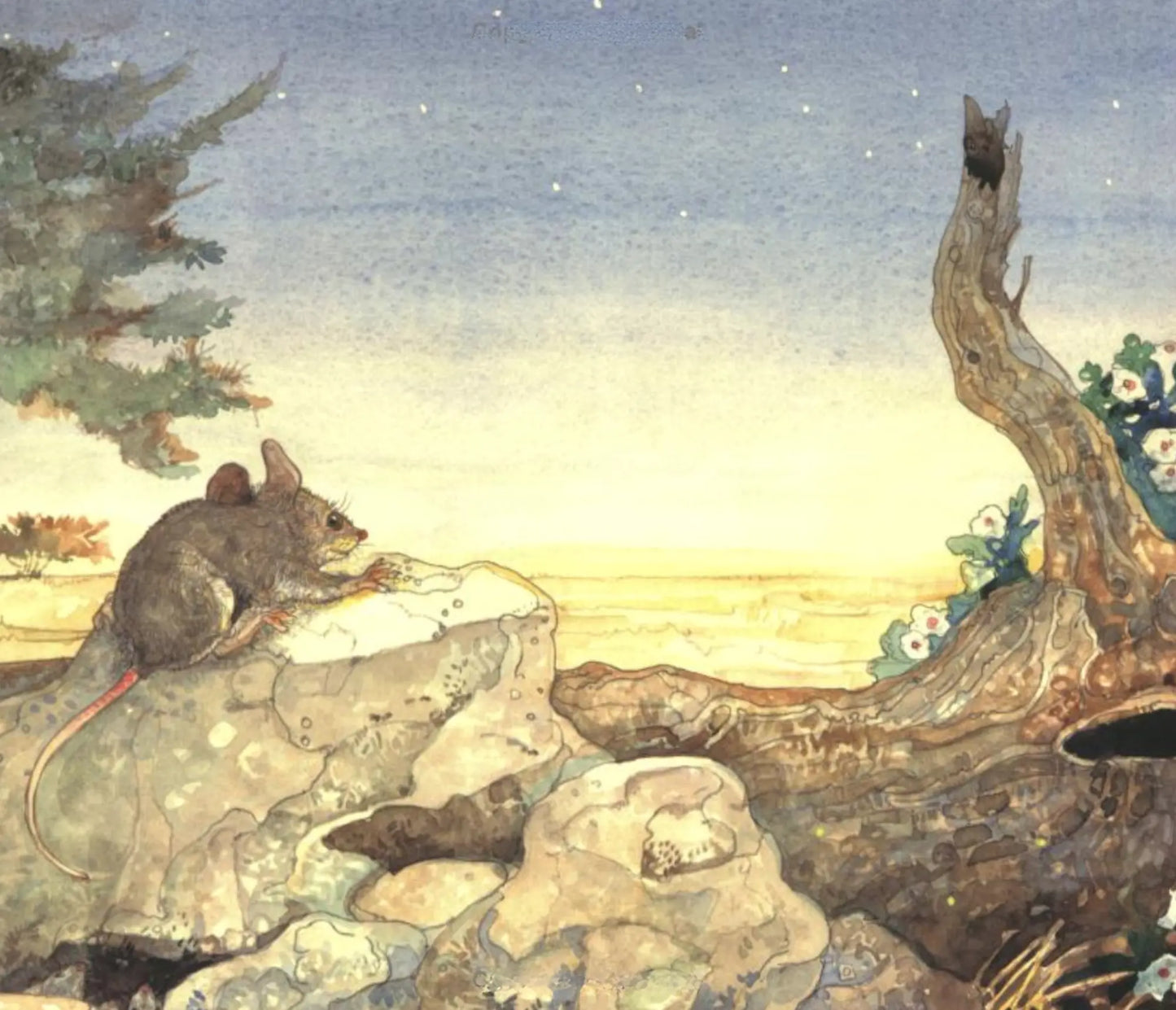 Illustration of a mouse on a rock with a savannah landscape in the background