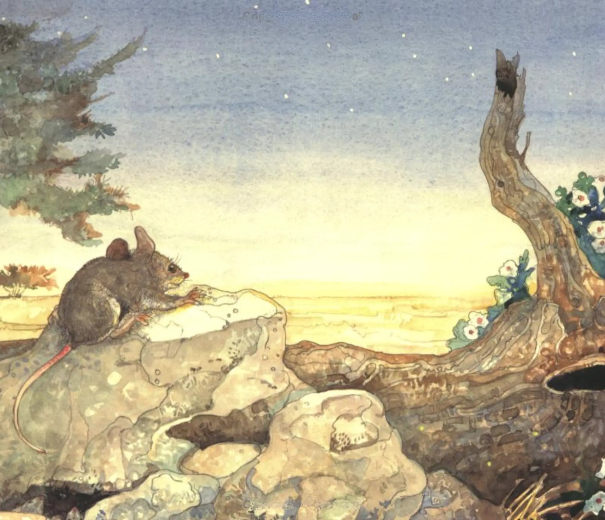 Illustration of a mouse on a rock with a savannah landscape in the background