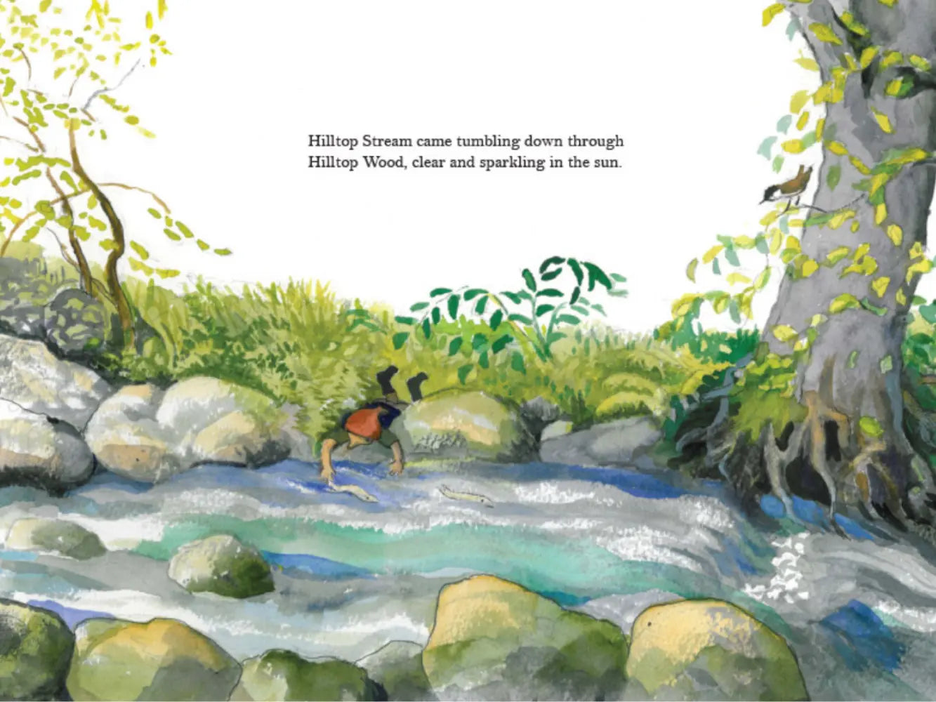Illustration of a stream in a forest with a bird on a rock.