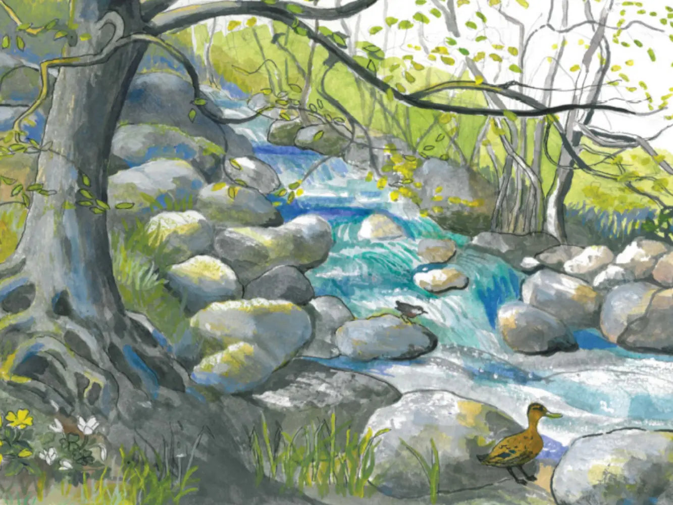 illustration of a stream flowing through a forest with ducks and rocks