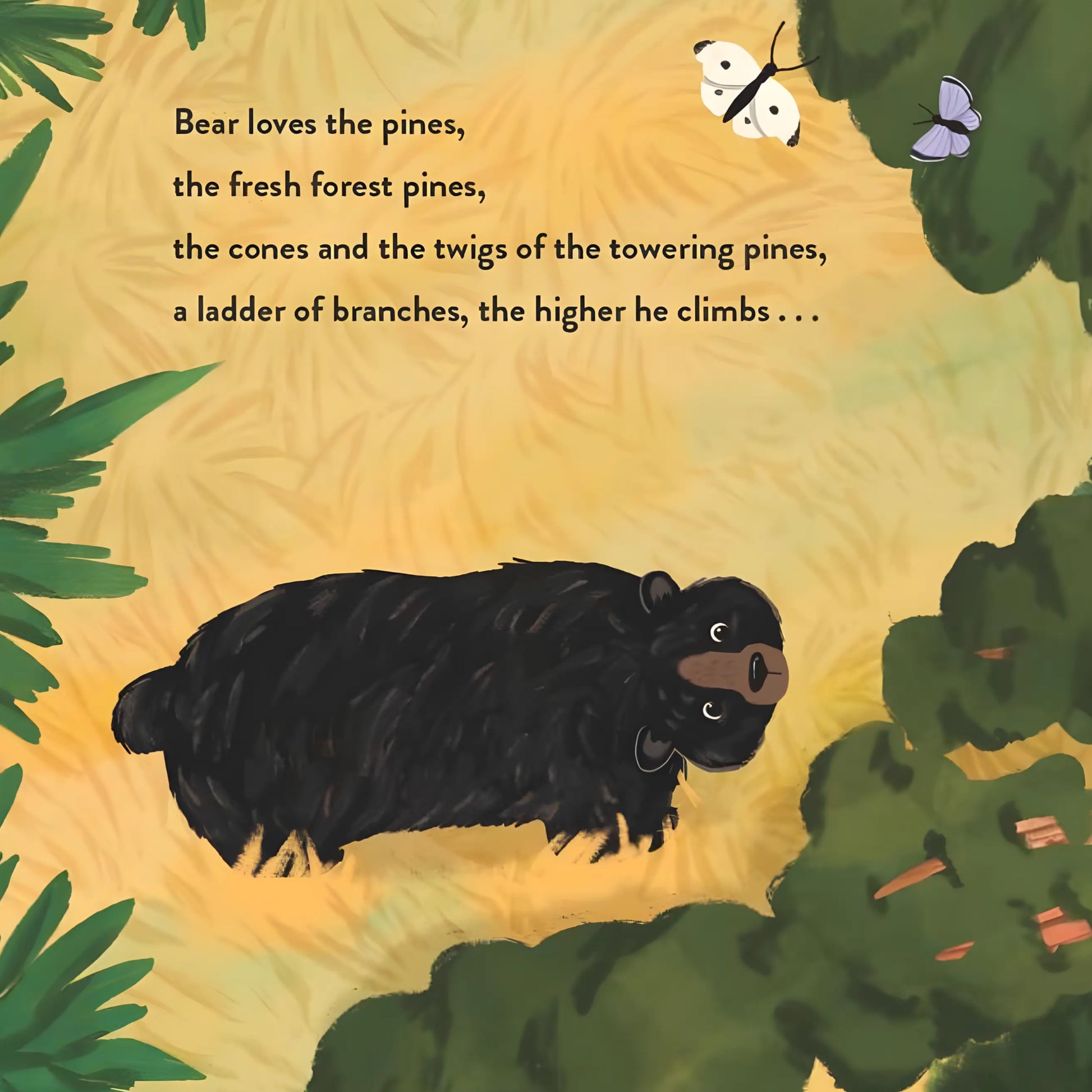 Illustration of a bear climbing a tree with text about bear's love for pines.