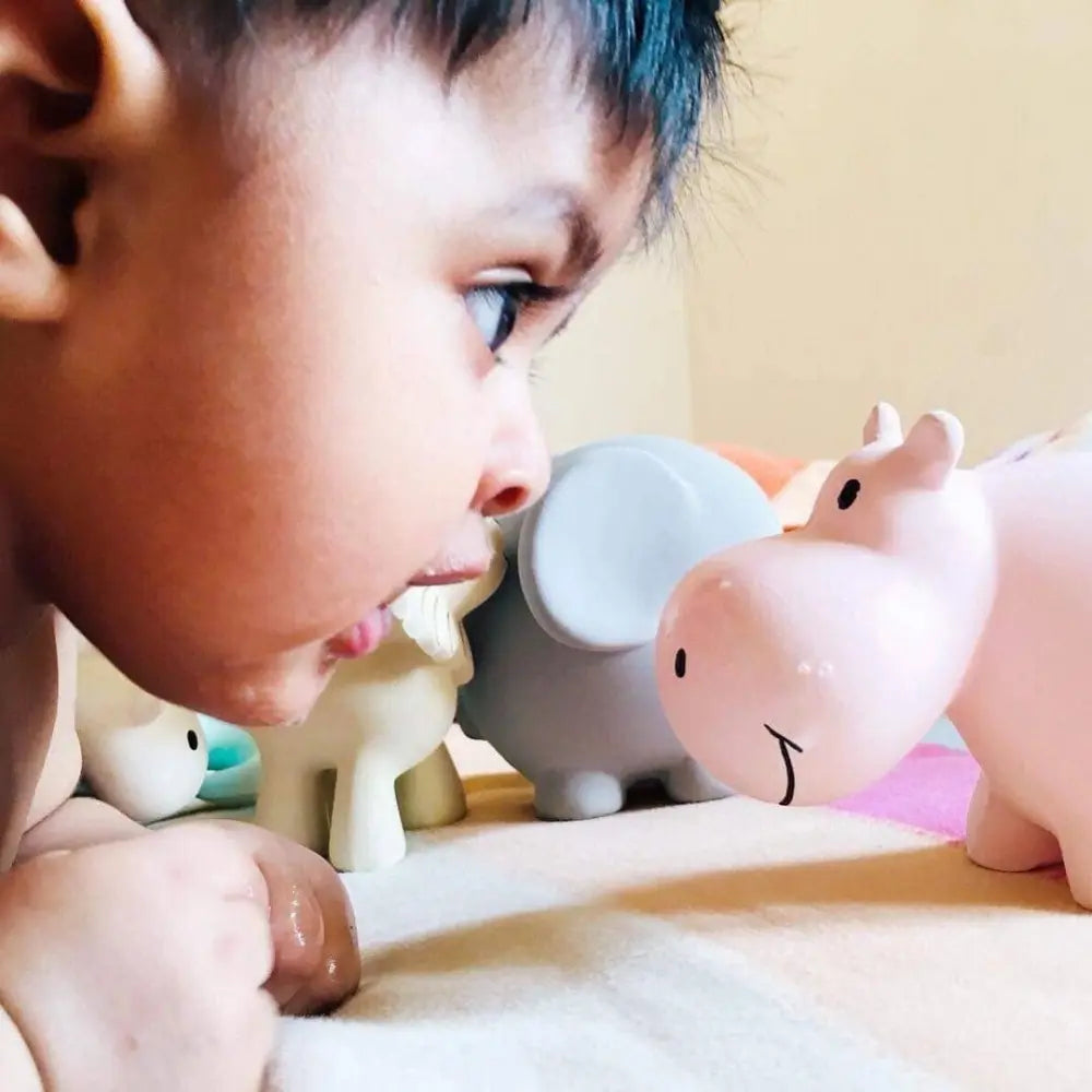 Toddler closely examining natural rubber hippo baby toy during play