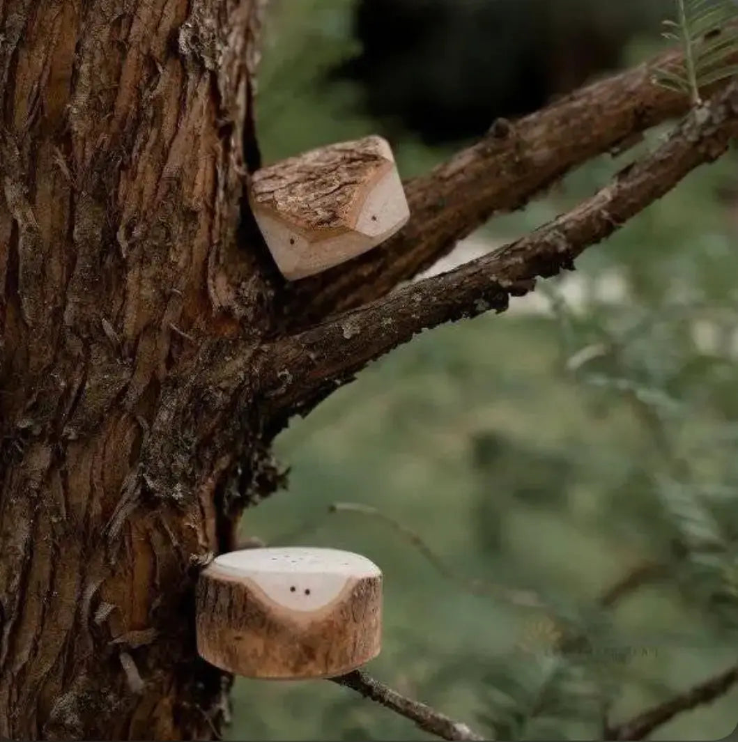 Tree Creatures wooden figures placed on tree branches for open-ended nature play