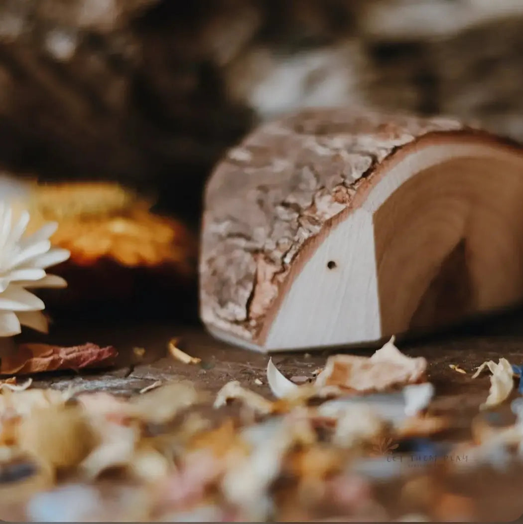 Tree Creatures wooden figures in a woodland-inspired scene for small-world storytelling