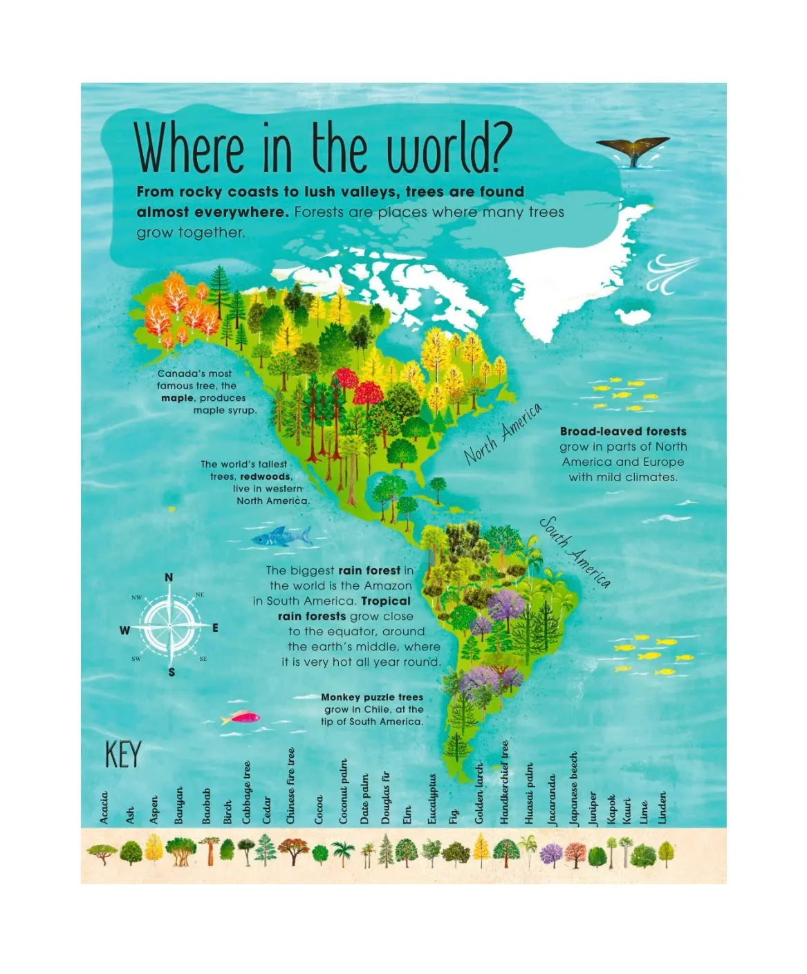 illustration of tree locations in North and South America