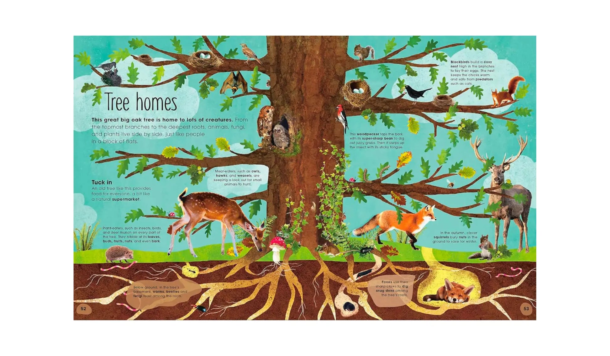 illustration of a tree with branches showing how animals use it for different types of homes