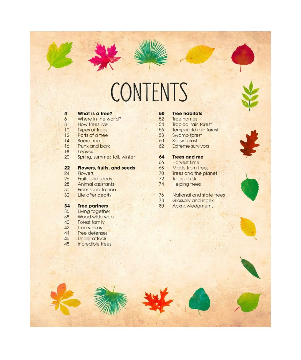 Table of contents page showing sections of What is a Tree; Flowers, Fruits, and Seeds; Tree partners; tree habitats; and trees and me
