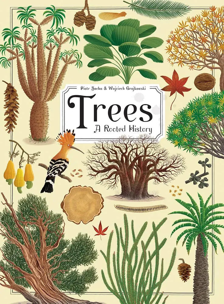 Trees: A Rooted History illustrated tree book for kids by Wojciech Grajkowski and Piotr Socha