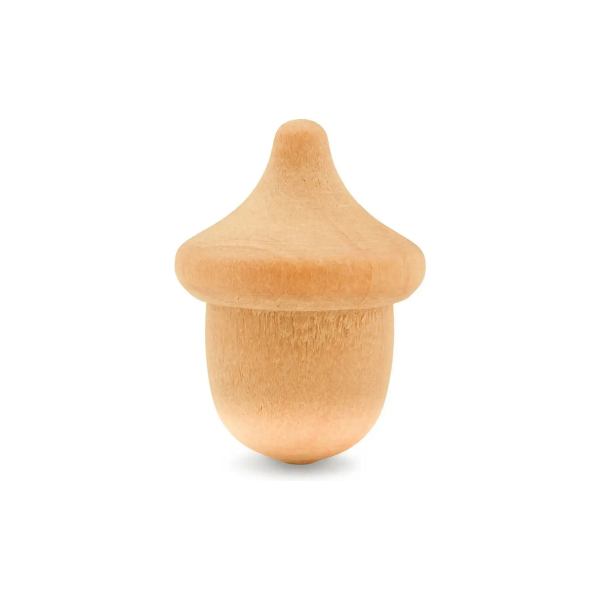 Front view of a smooth, unfinished birch wooden acorn