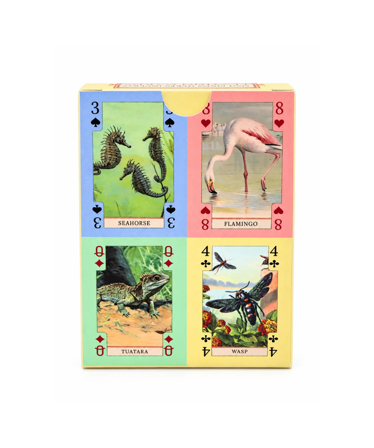 Back of vintage nature playing card box showing seahorse, flamingo, tuatara, and wasp cards