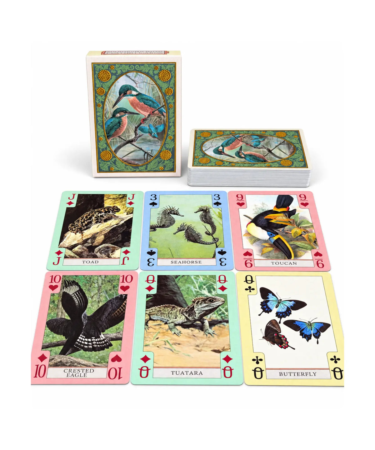 Vintage nature playing cards featuring fish, birds, reptiles, amphibians, and invertebrates with kingfisher card box
