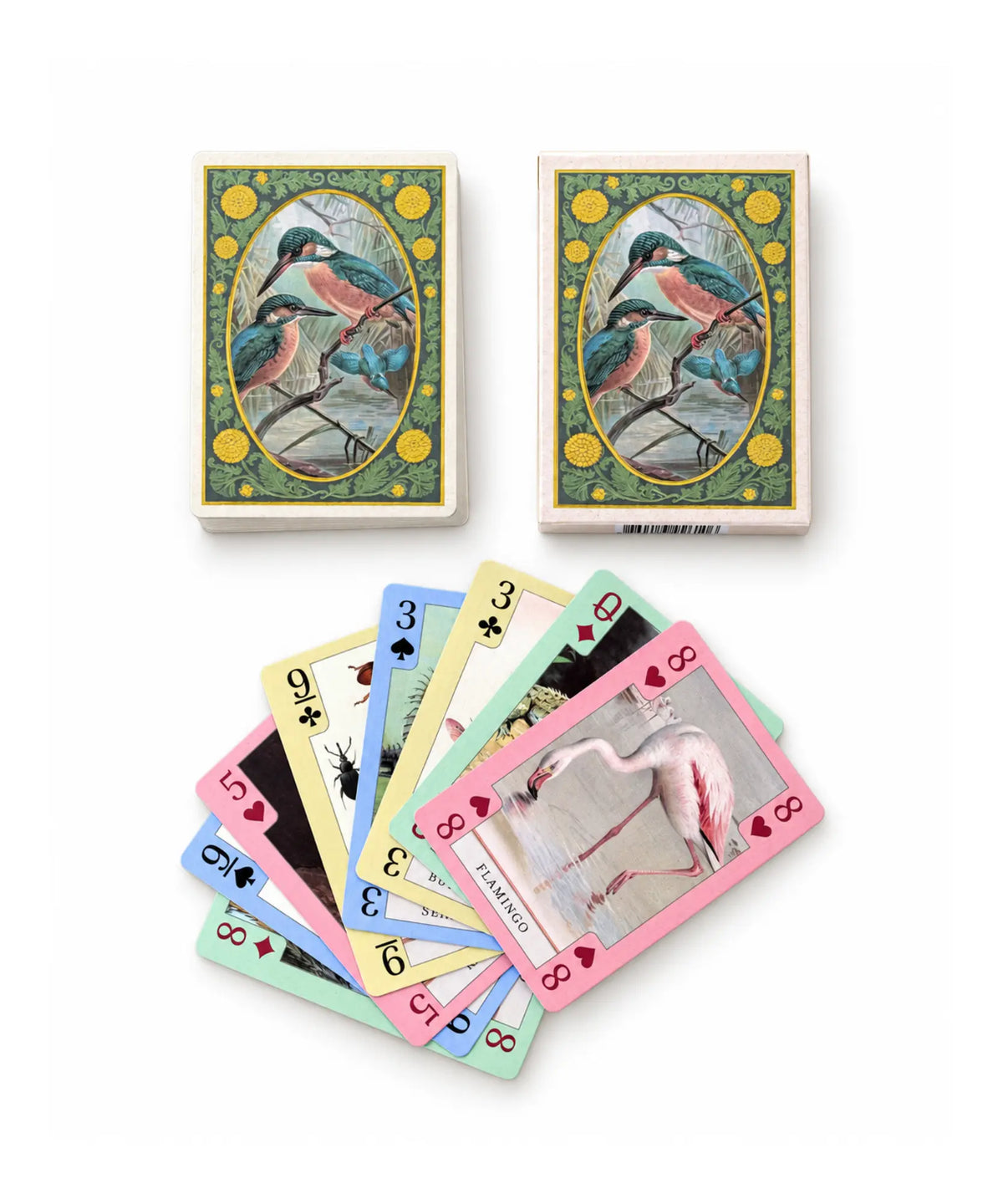 Vintage nature playing cards spread beside kingfisher-backed deck and illustrated card box