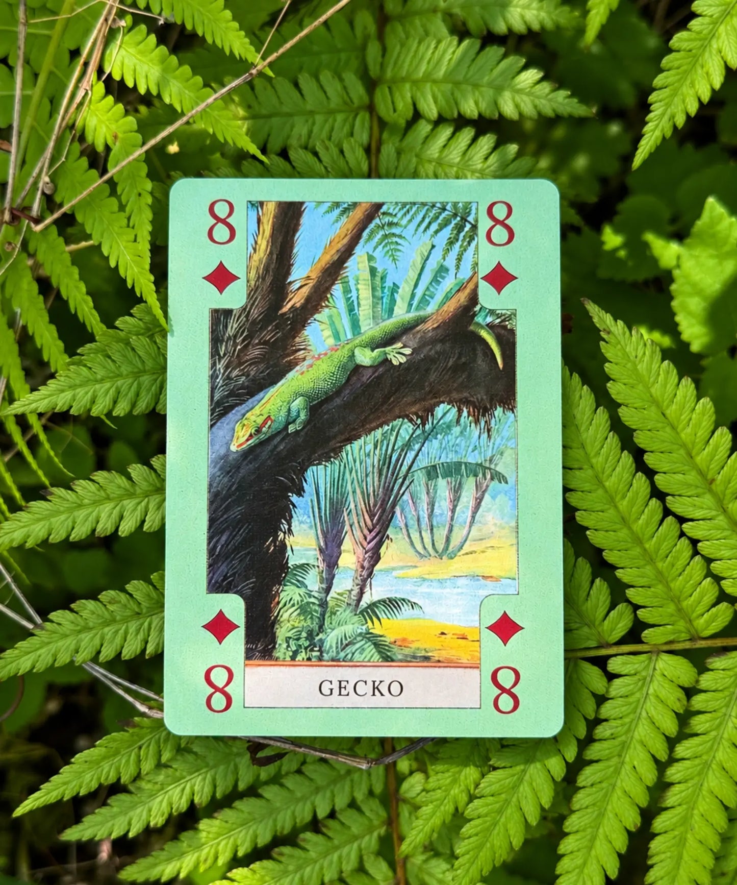 Gecko 8 of diamonds from vintage nature playing card deck featuring reptiles and amphibians