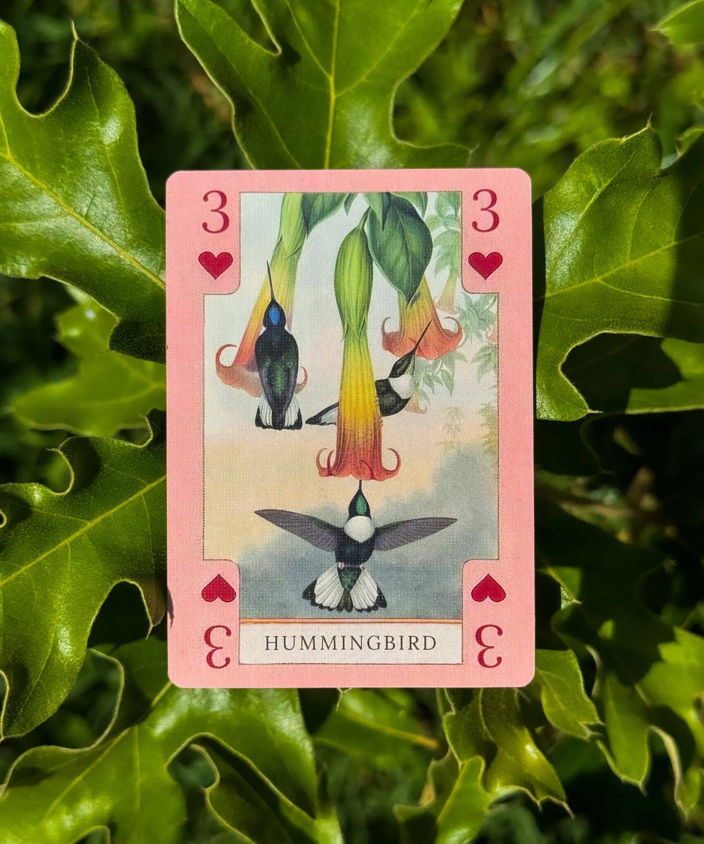 Hummingbird 3 of hearts from vintage nature playing card deck with botanical artwork