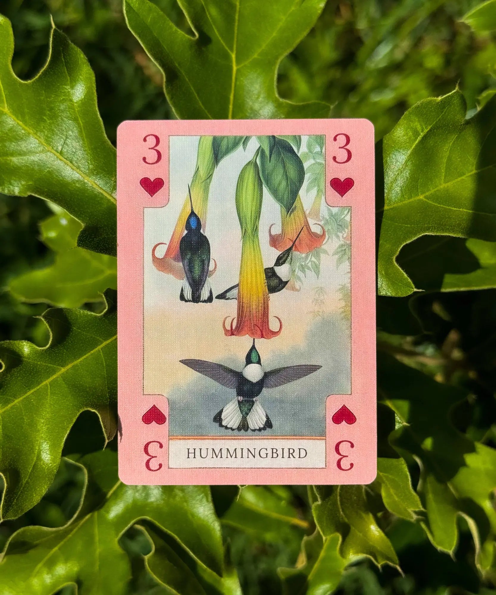 Hummingbird 3 of hearts from vintage nature playing card deck with botanical artwork