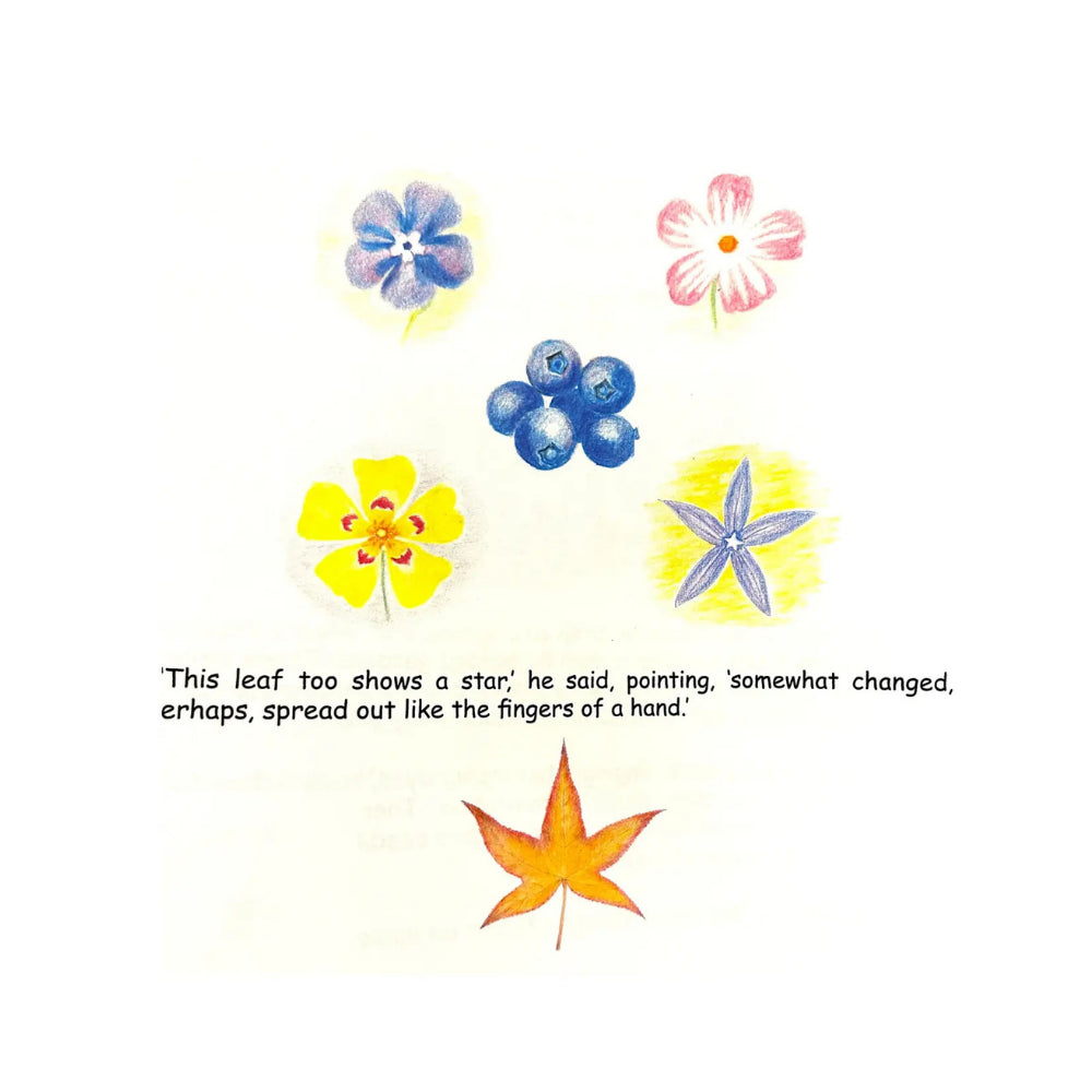 Colorful flowers and a leaf on a white background with text.