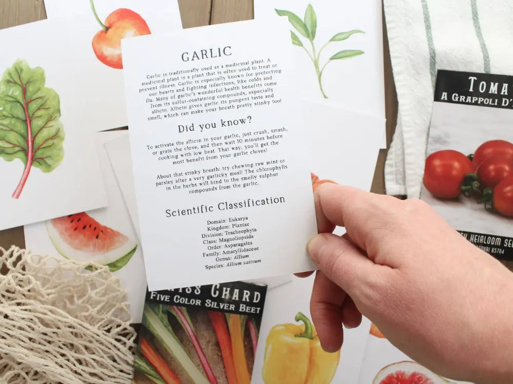 40 Seasonal Produce Learning Cards – Feed & Dwell