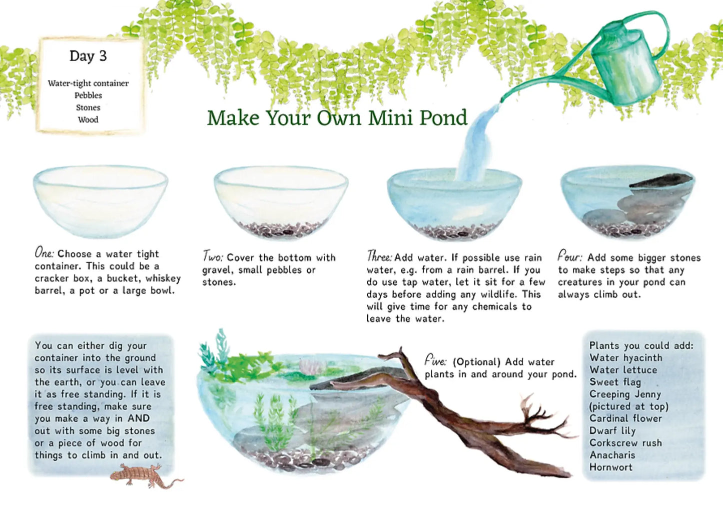Instructions for making a mini pond with illustrations and text.
