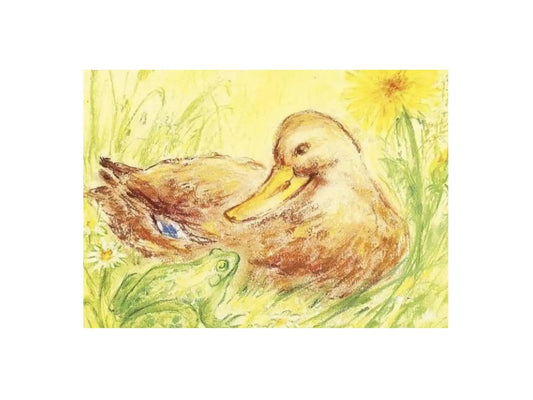 Waldorf art postcard of a mallard duck and frog in spring meadow with dandelions and chamomile by Marjan van Zeyl