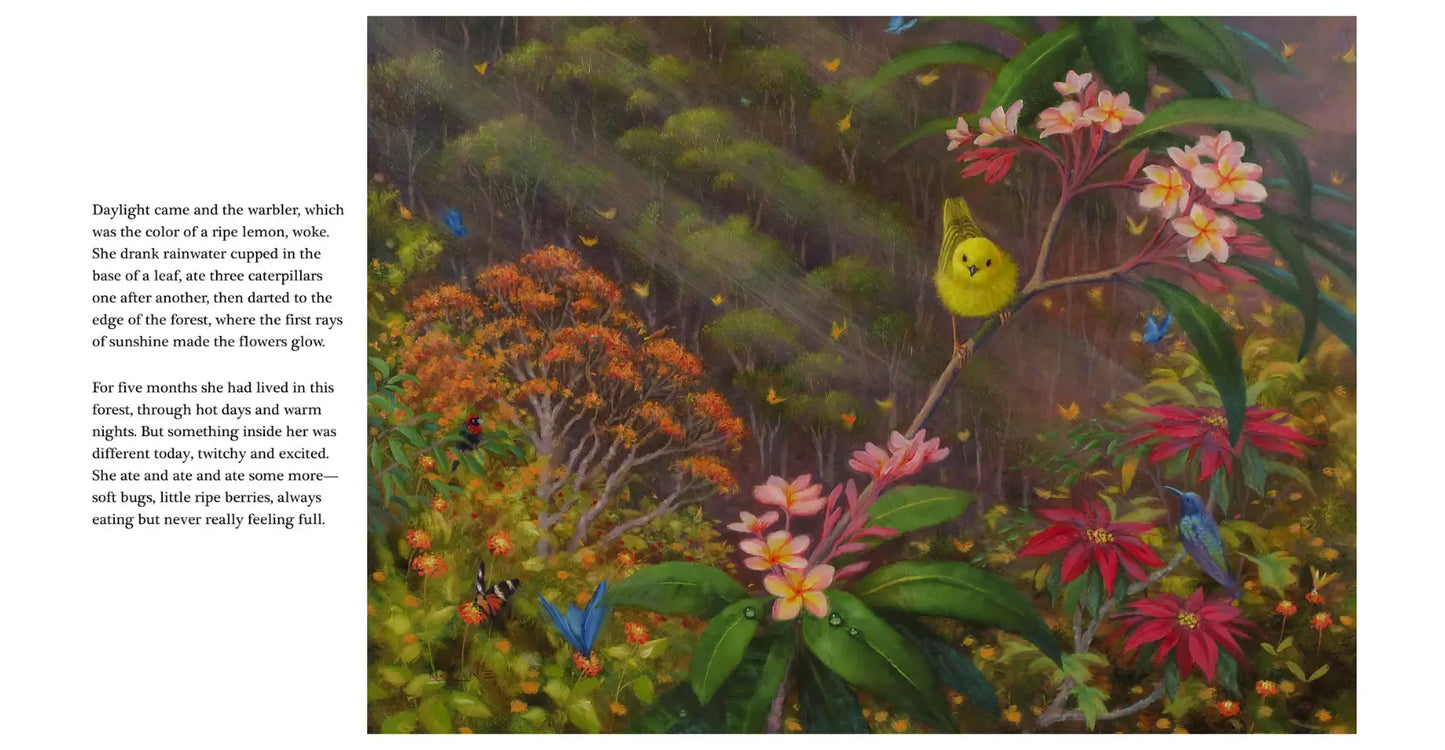 Colorful illustration of a jungle scene with flowers and birds, accompanied by text on the left.